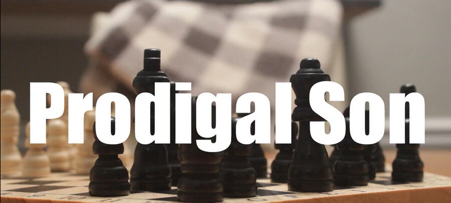 The Serious Life of Lester Bradford We are currently filmming a 12 episode comedy web-series "The Serious Life of Lester Bradford", to be released on YOUTUBE in 2025 .